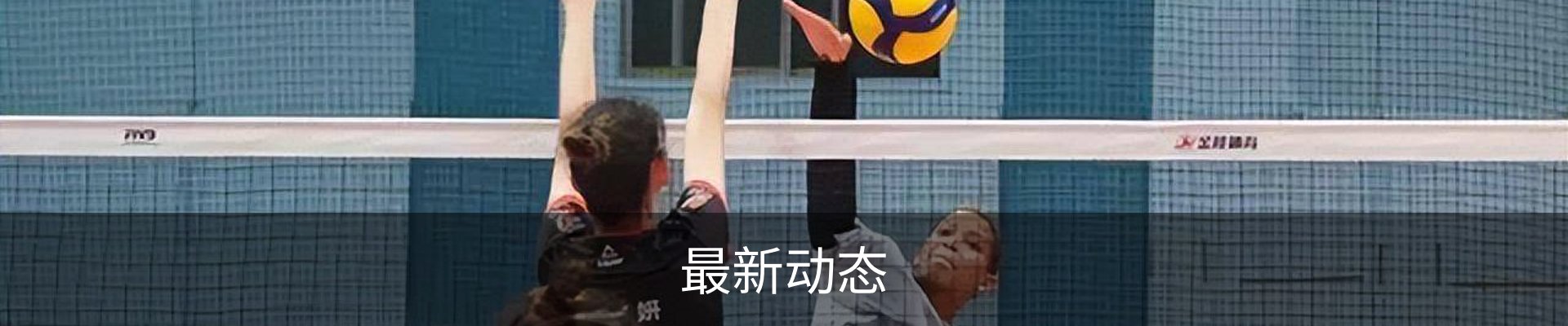 最新动态
